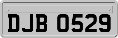 DJB0529