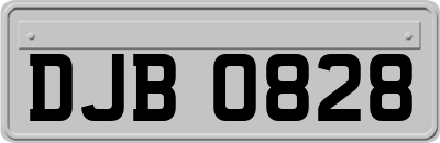 DJB0828