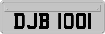 DJB1001