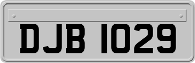 DJB1029