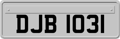 DJB1031