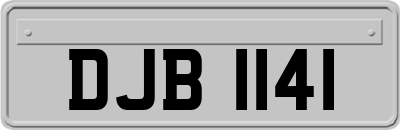 DJB1141