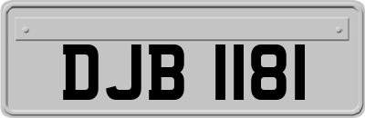 DJB1181