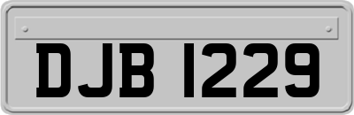DJB1229