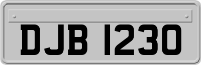 DJB1230