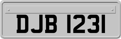 DJB1231
