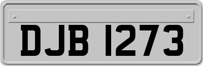 DJB1273