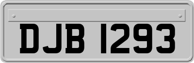 DJB1293