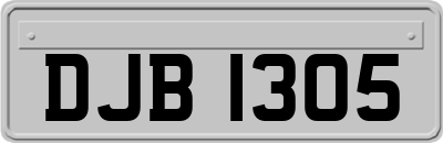 DJB1305