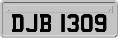 DJB1309