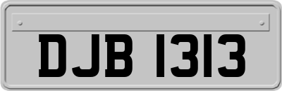 DJB1313