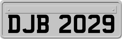 DJB2029