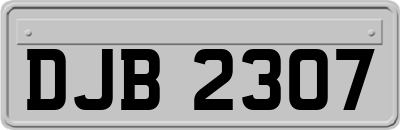 DJB2307