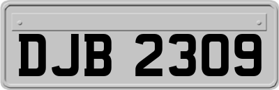 DJB2309