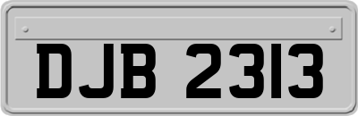 DJB2313