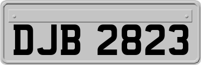 DJB2823