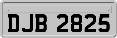 DJB2825