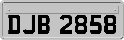 DJB2858