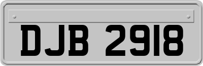 DJB2918