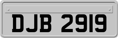 DJB2919