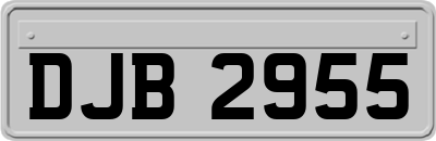DJB2955
