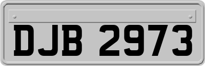 DJB2973