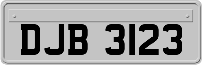 DJB3123
