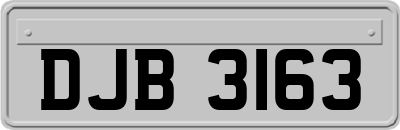 DJB3163