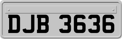 DJB3636