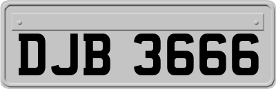 DJB3666