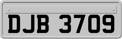 DJB3709