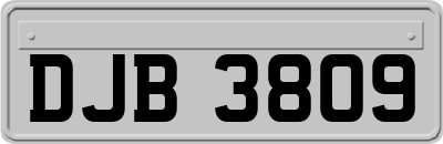 DJB3809