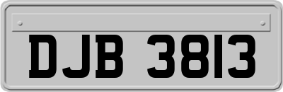 DJB3813
