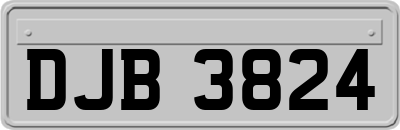 DJB3824