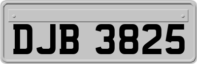 DJB3825