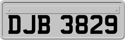 DJB3829