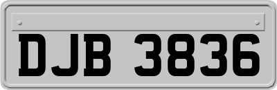 DJB3836