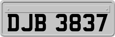 DJB3837