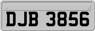 DJB3856