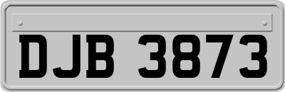 DJB3873
