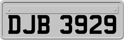 DJB3929