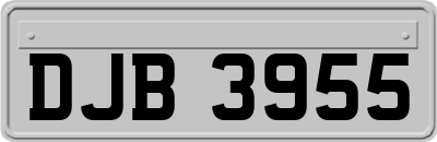 DJB3955