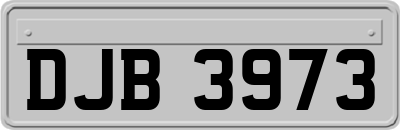 DJB3973