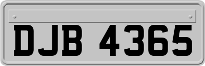 DJB4365