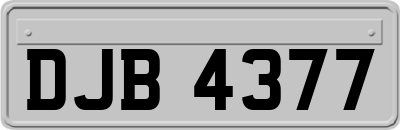 DJB4377