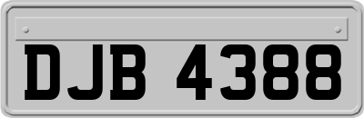 DJB4388