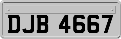 DJB4667