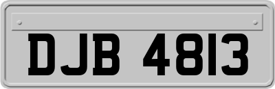 DJB4813