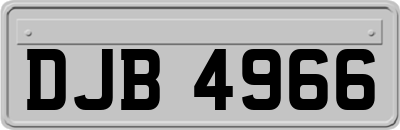 DJB4966