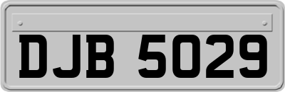 DJB5029